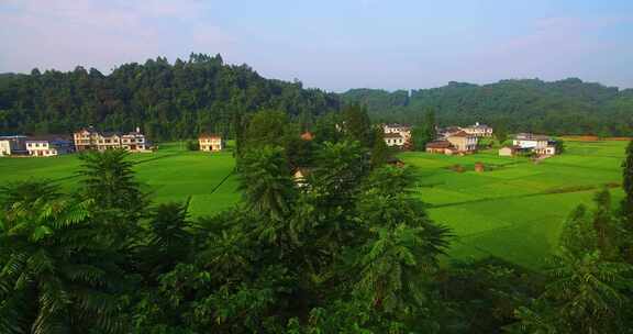 美丽乡村四川农村航拍风景翠绿稻田中的村庄