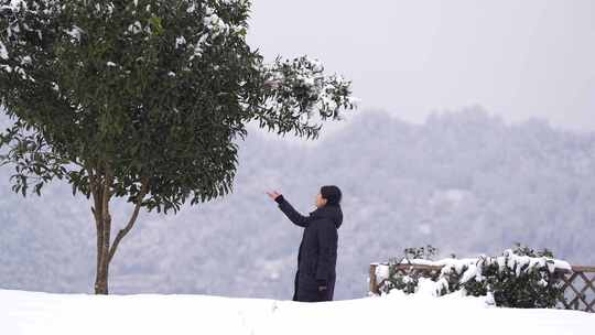 湖北利川兰田村冷后浑茶园雪中行走的人