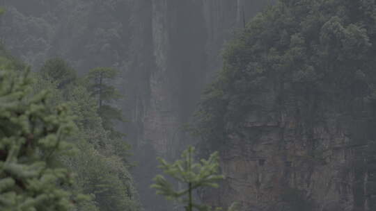 湖南省张家界奇峰山峰树林小河自然绿植pp8