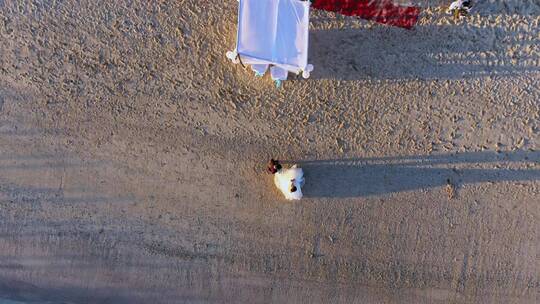 俯拍沙滩海滩婚礼新郎新娘走路