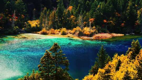 四川九寨沟秋季风景 四川阿坝州  川西风光