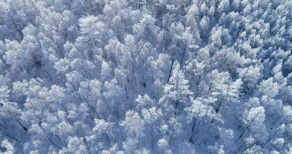 内蒙古大兴安岭冰雪雾凇 童话世界