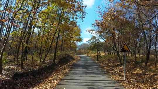 秋天的路 小路 风景