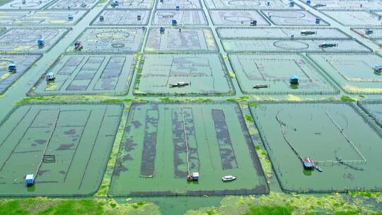 阳澄湖大闸蟹养殖基地航拍