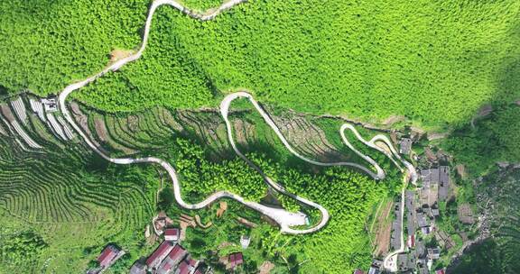 森林山路车流开车绿色出行新能源车航拍