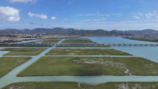 惠州盐洲海洋湿地公园-红树林湿地风光