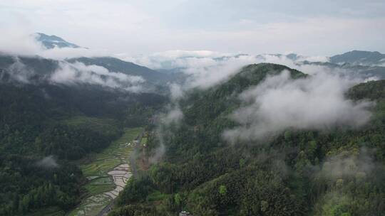航拍贵州亚木沟附近山中云雾延时视频素材模板下载