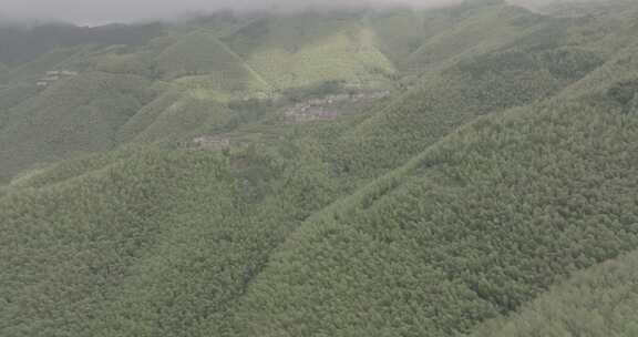 平塘马安竹海航拍