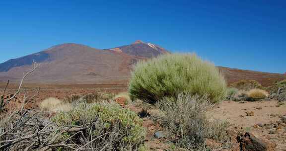 泰德，火山，特内里费岛，加那利群岛