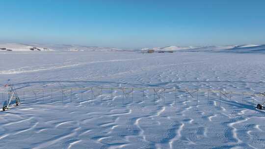 呼伦贝尔冬季雪景白雪覆盖的田野视频素材模板下载
