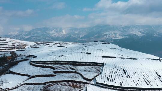 冬季白雪覆盖山川田野农田庄稼远处连绵雪山