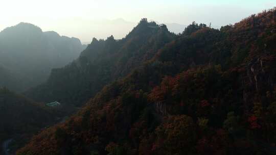 秋季森林自然风景实拍