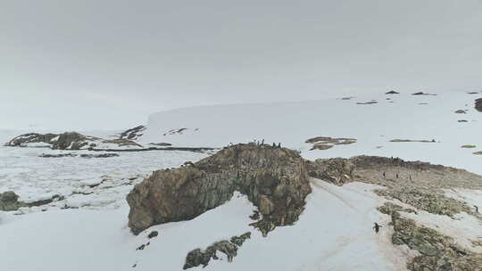 南极洲企鹅点景观鸟瞰图