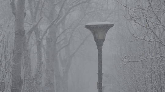 冬天雪景 下雪空镜