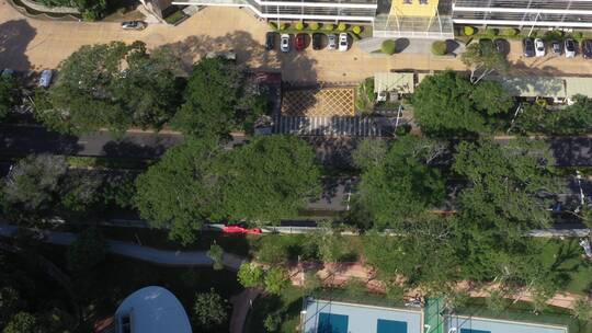 航拍深圳城市生态绿化