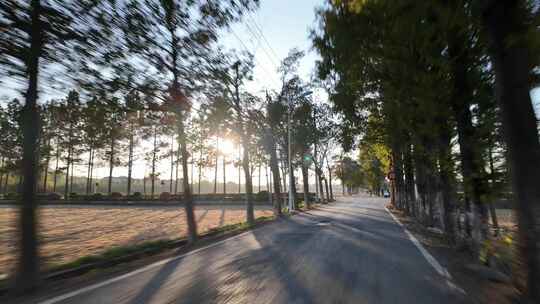 开车经过乡村道路夕阳光