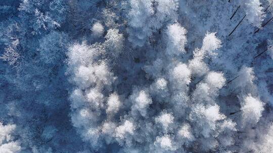 4k航拍恩施雪山雾凇风光