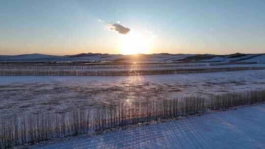 航拍早春冰消雪融的垦区雪原农田