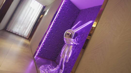 紫色走廊旋转素材