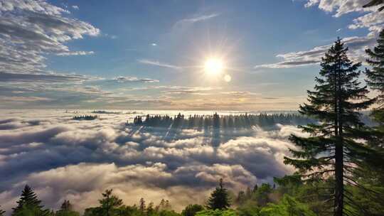 森林阳光云海森林云雾缭绕树林山大自然风景