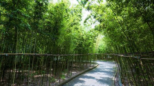 南宁青秀山中式庭院