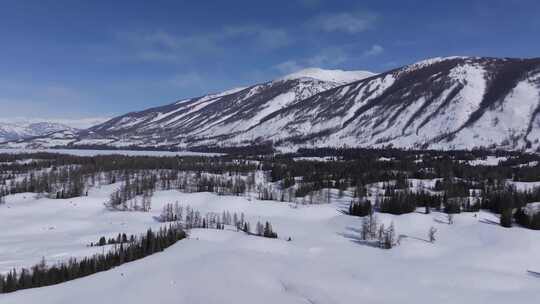 航拍新疆冬季喀纳斯河流晨雾雪山森林雪景