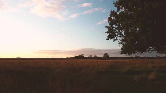 夕阳笼罩着高高的干草田野