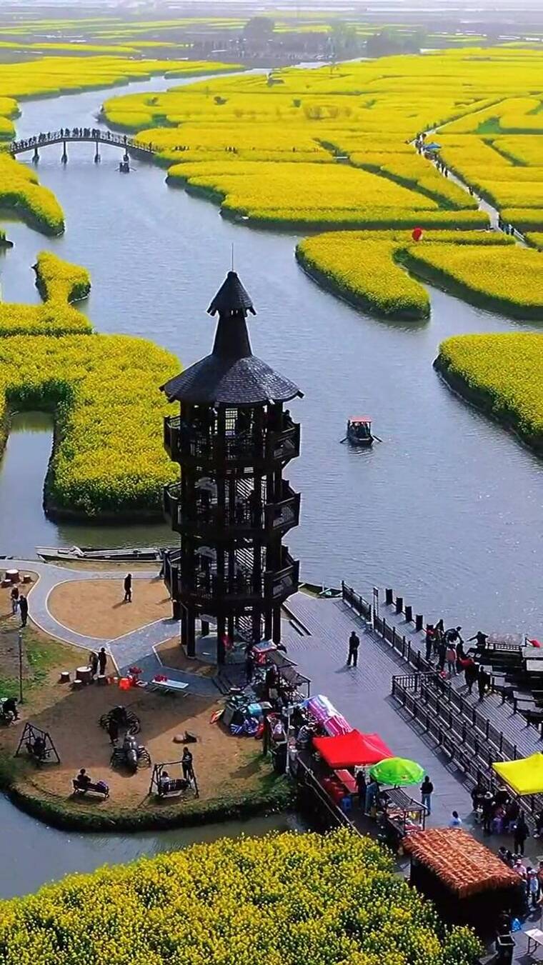 如此罕见且震撼的一幕，治愈，唯美，风景