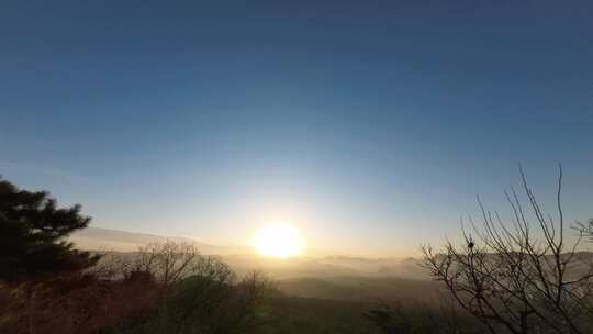 山区日出晨雾松林