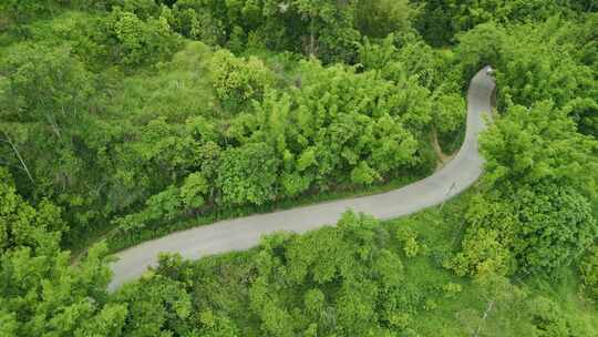 山中公路车行驶