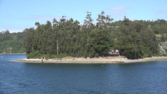 森林河流天际线景观