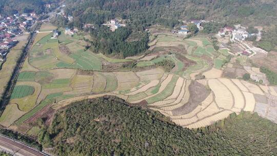 自然风光山川河流树林森林植物航拍