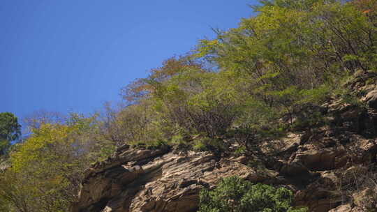 秦岭秋季风景