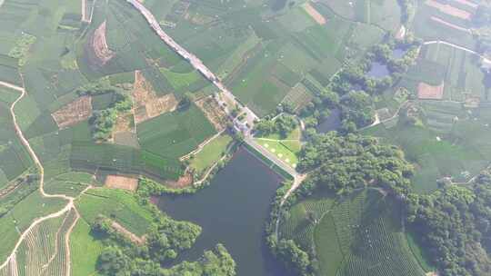 杭州龙坞茶园 光明寺水库