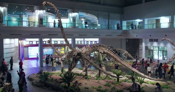 自贡恐龙博物馆里的恐龙化石