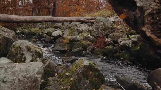 秋天森林景区河流流动