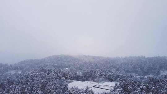 航拍大雪覆盖山林远景