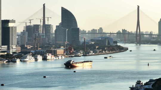 上海黄浦江畔城市与桥梁景观