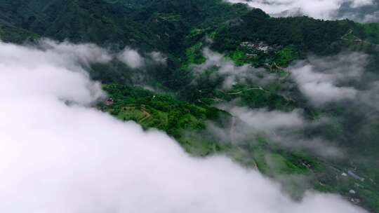 航拍秦岭山脉森林云雾风光