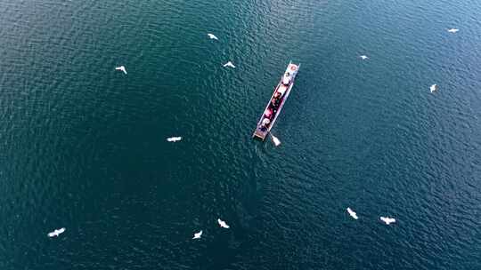 四川草海——泸沽湖海鸥成群渔船上空盘旋