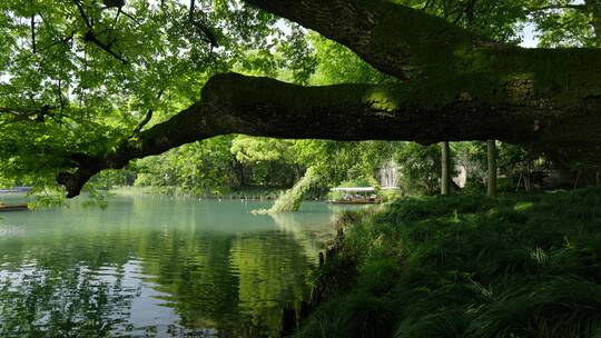 杭州西湖浴鹄湾游船风景