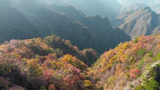 南阳老界岭秋景风光