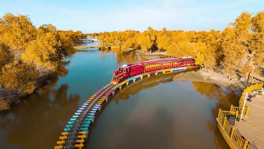 额济纳胡杨林小火车内蒙古风景秋天胡杨