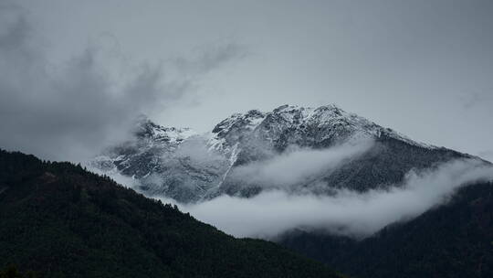 白马雪山,云南省,森林,自然,横断山脉