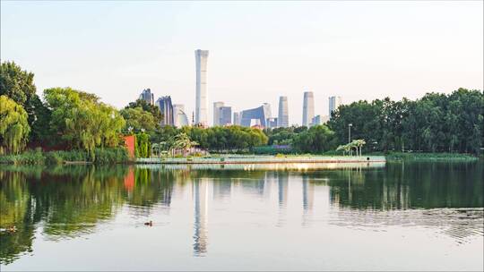 北京国贸CBD鸭子游过水面城市延时