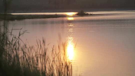 沂河河面落日夕阳美景视频素材模板下载