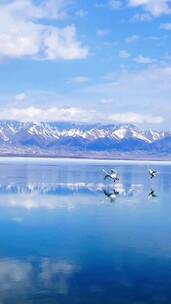 自然风景，治愈系风景，唯美意境，人间仙境