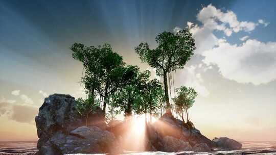阳光穿过岩石上的树木-迷人的景色02