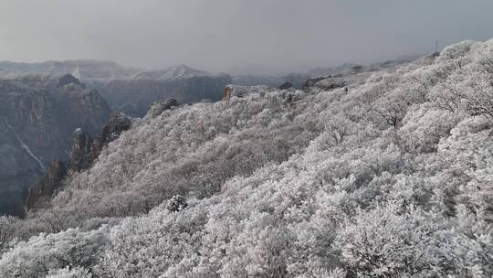 航拍焦作云台山峰林峡山脉冬季雾凇雪景