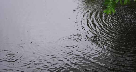 雨水雨滴落在水面溅起水花波纹